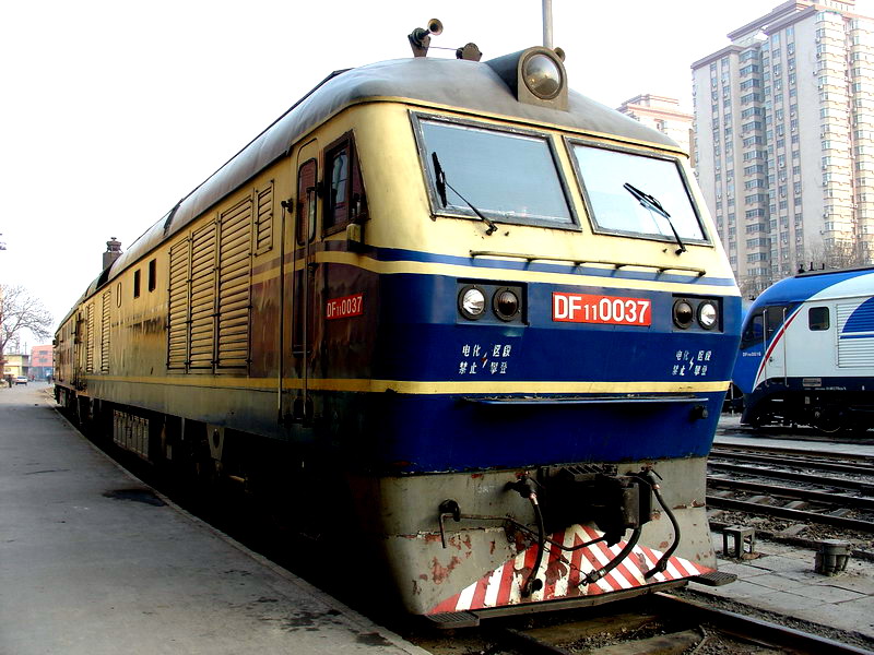 DF11 0037.jpg